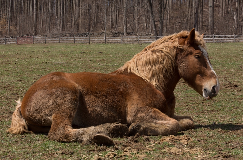 Nancy Coe Photography-28_76A1733