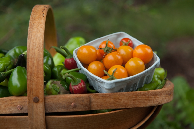 Nancy Coe Photography-32_MG_7573