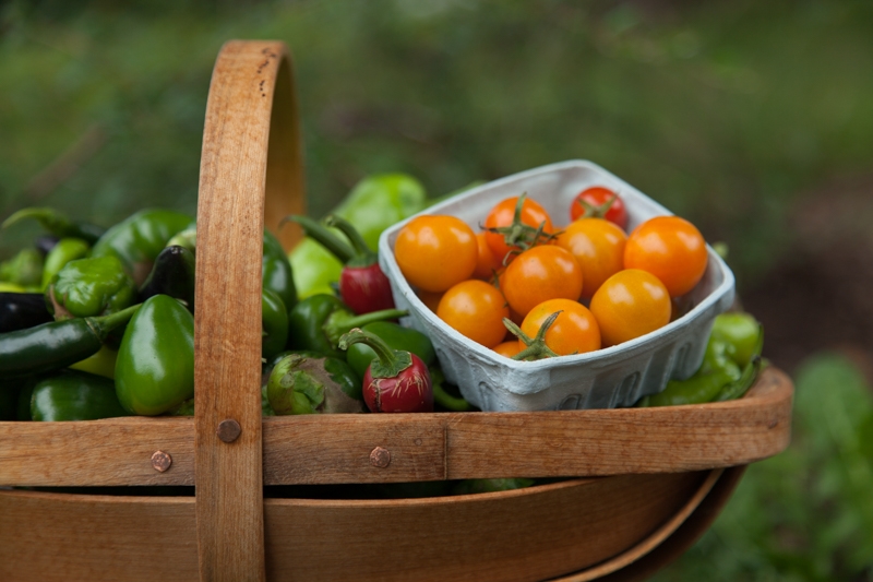 Nancy Coe Photography-33_MG_7574