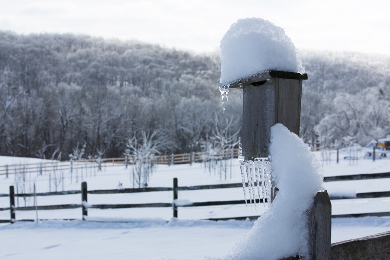 Nancy Coe Photography-54_-267