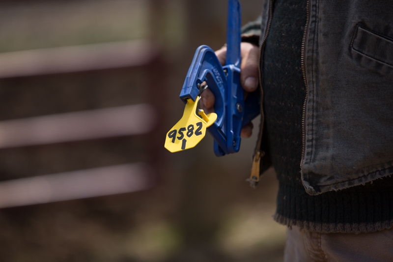 Nancy Coe Photography-5_76A1751