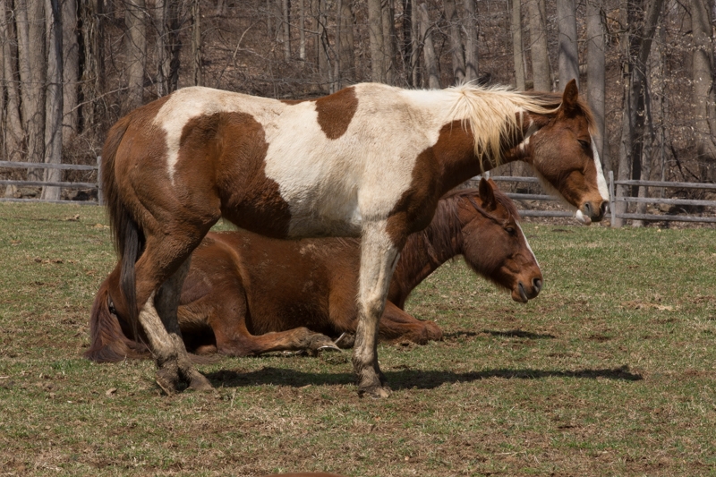 Nancy Coe Photography-61_76A1722
