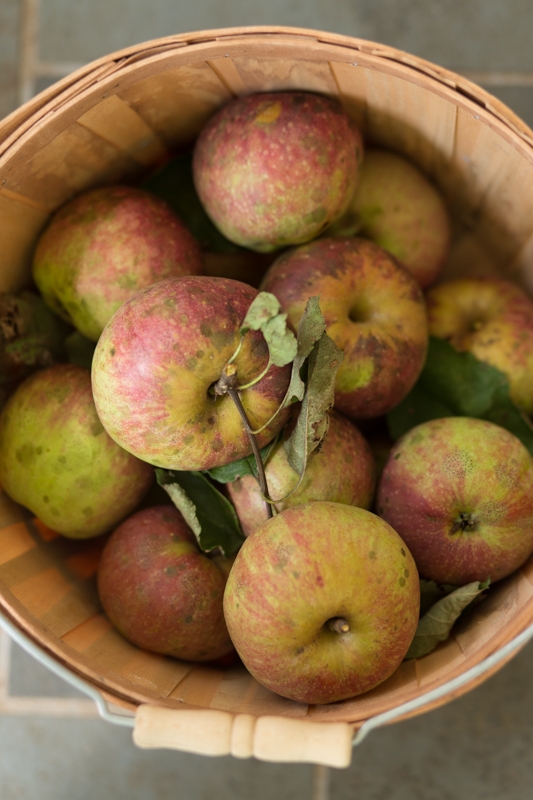 Nancy Coe Photography-63_76A9956