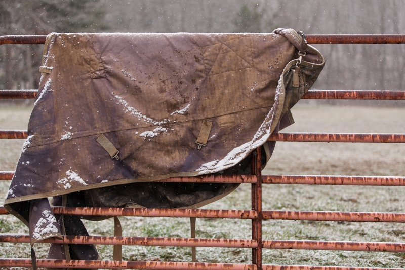 Nancy Coe Photography-24_MG_8210