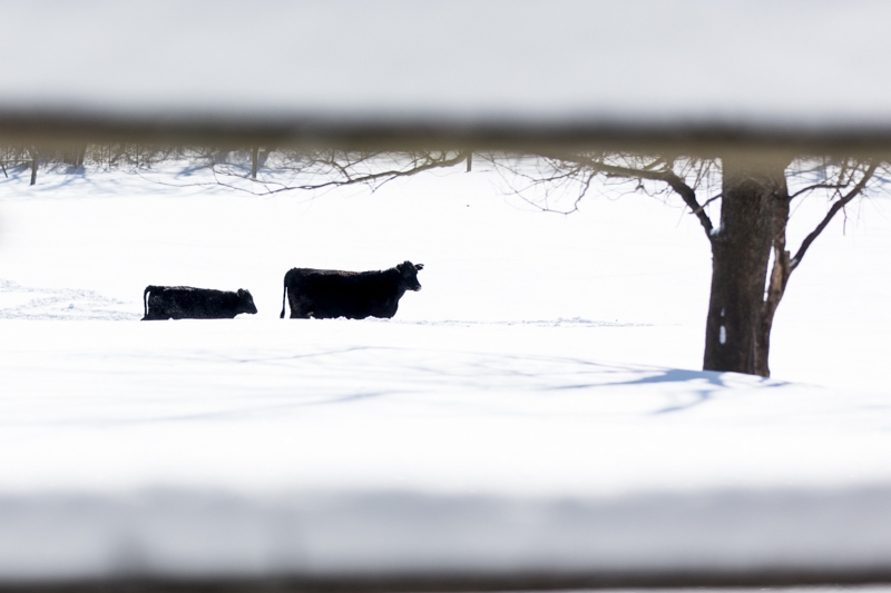 Nancy Coe Photography-28_76A4506