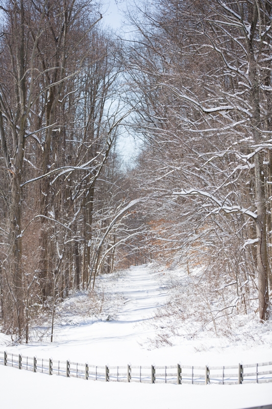 Nancy Coe Photography-32_76A4536